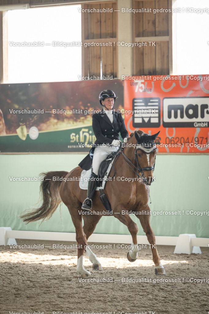 _D5A2248 | Emotionale Pferde- & People-Fotografie rund um Heidelberg, Leimen & Umgebung. Natürliche Fotos von Pferd, Mensch & Familie. Jetzt Termin sichern!