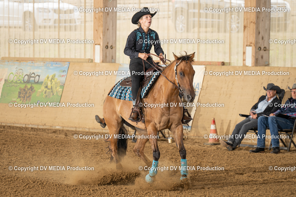 LAU01684 | dv-media-shop - Realisiert mit Pictrs.com