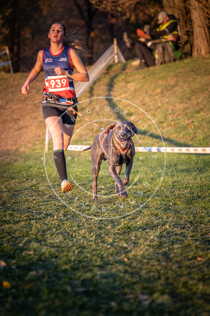 CaniXpix_0L8A1873 | Hundefotografie, Tierfotograf, Pfotenfotografie, Fotoshooting Hund, Hunde Portrait, Hundesport, Hundeportraits, Heideshooting, Hunde, Sportfotograf, Hundefotograf, Turnierhundsport, THS,  - Realisiert mit Pictrs.com