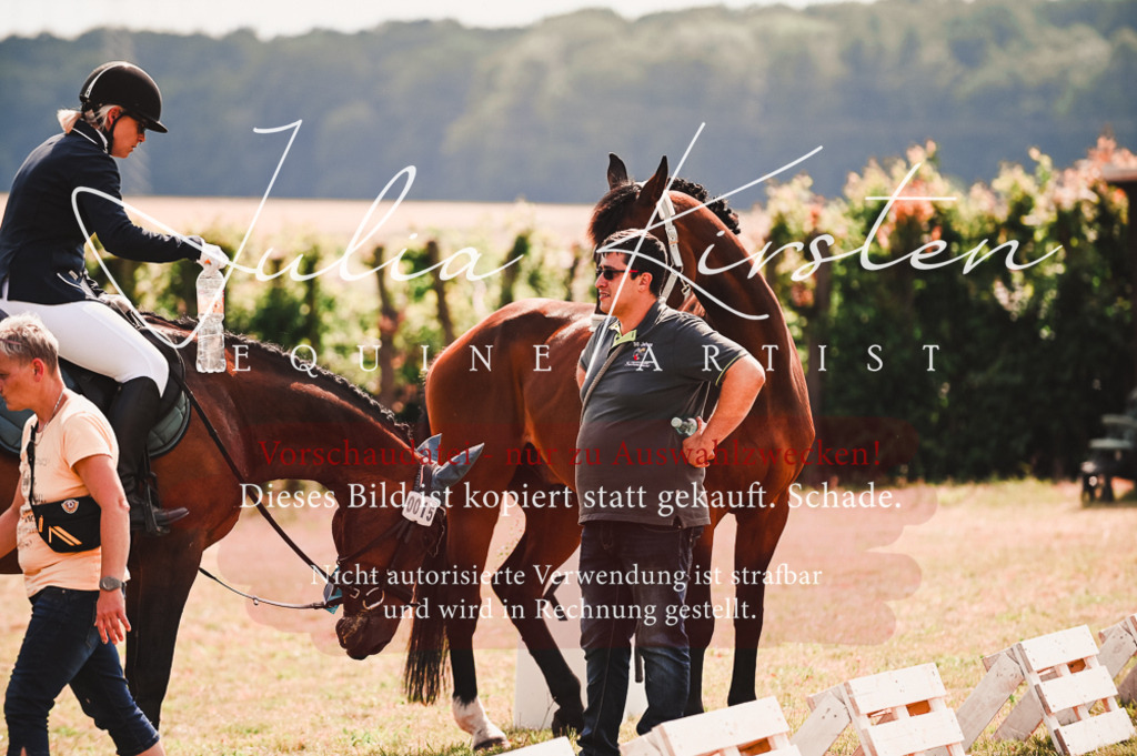 DSC_7167 | Pferde- und Turnierfotografie in Westsachsen. Pferdeportraits, Auftragszeichnungen und intuitive Kunst.