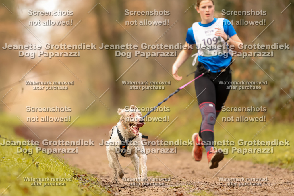 Dog Paparazzi - Speedhunter Mannheim  2025-300 | Dog Paparazzi Jeanette Grottendiek Fotografie & Videografie