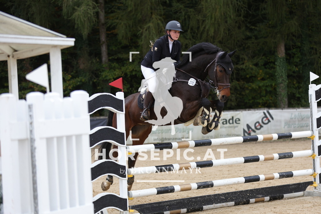 0P6A4019 | Willkommen bei Brunnmayr - Design & Fotografie – Ihrem Spezialisten für Reitturniere und Pferdeveranstaltungen in Oberösterreich, Salzburg und Bayern! Seit über 17 Jahren sind wir leidenschaftlich dabei.