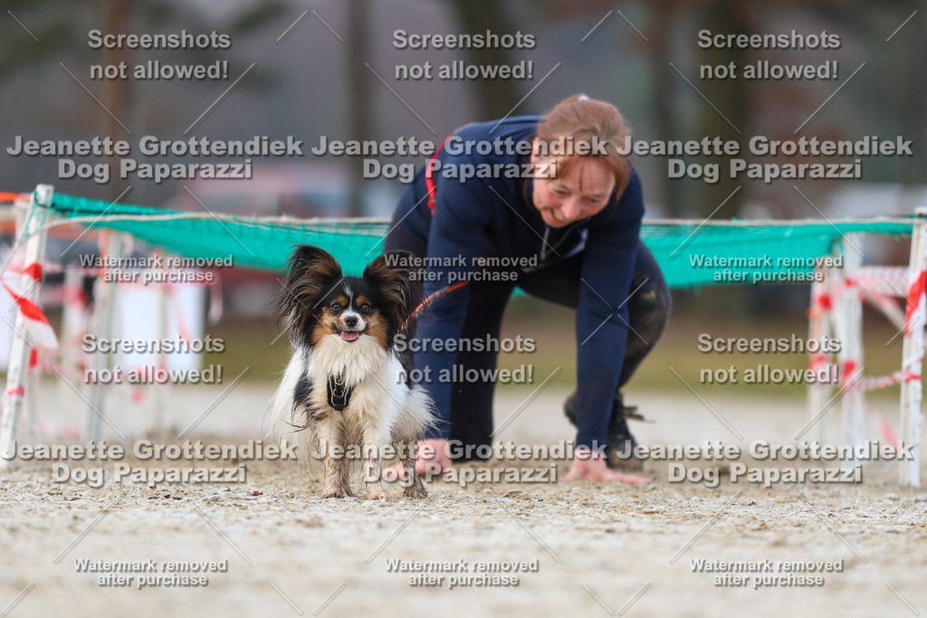 Dog Paparazzi - Strongdog North Mrz26-3648 | Dog Paparazzi Jeanette Grottendiek Fotografie & Videografie - Realisiert mit Pictrs.com