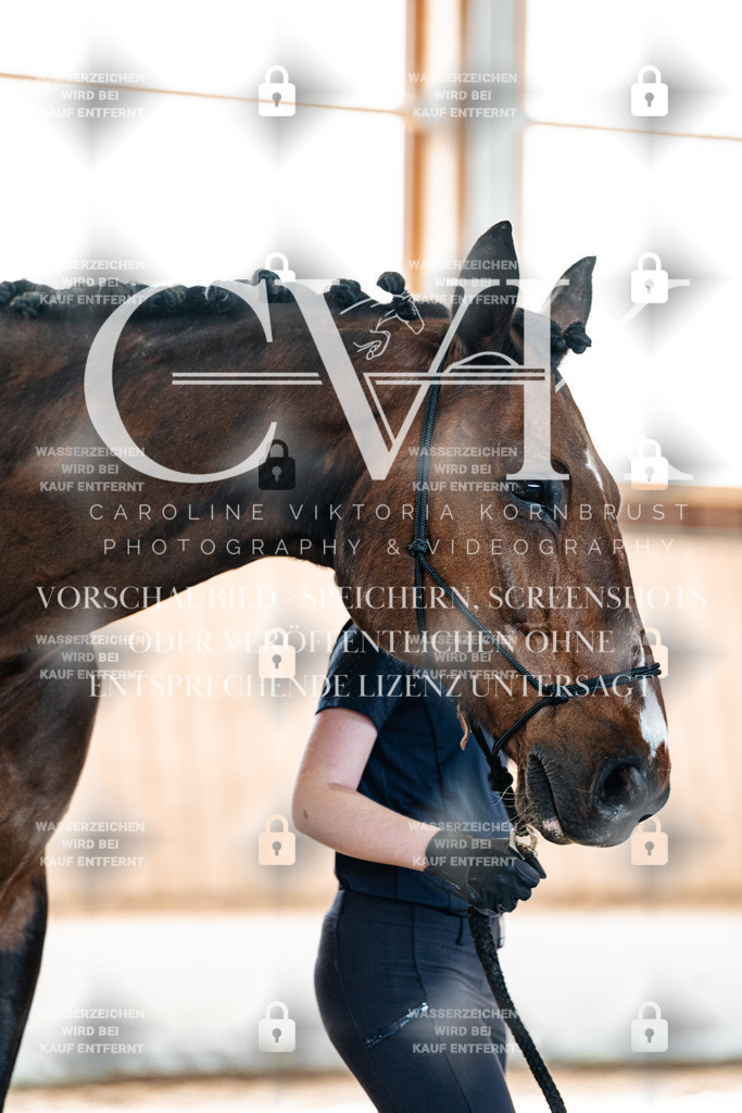 CK906482 | Turnierfotografie Pferdefotografie Trier Rheinland-Pfalz Pferdesport Reitsport Tierfotografie Sportfotografie Pferdevideo Pferdevideografie Equestrianvideography equestrianphotography  - Realisiert mit Pictrs.com