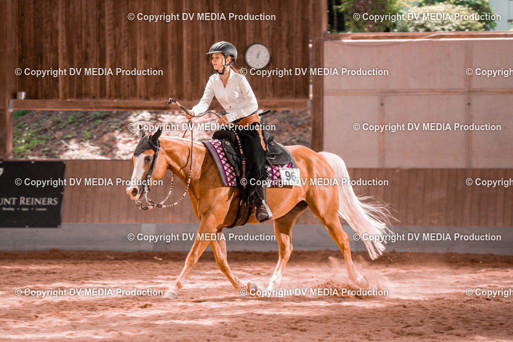 NE200684 | dv-media-shop - Realisiert mit Pictrs.com