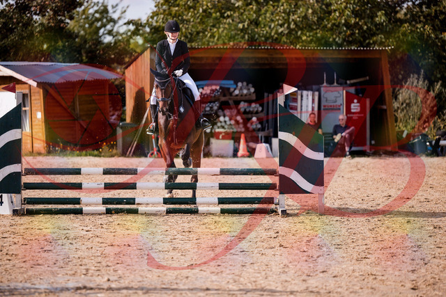 2026_10_03_Siefer-Hof_154136_Z81_58279893 | Professionelle Reitsport-, Turnier- und Eventfotografie von Robert Broda. Galerien mit ausgewählten und bearbeiteten Bildern direkt online ansehen und bestellen.