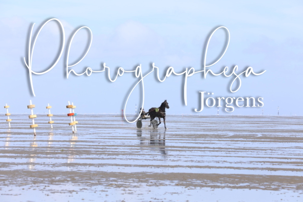IMG_7968 | photographesa-joergens - Realisiert mit Pictrs.com