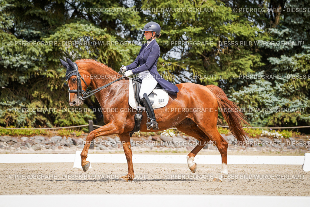 DSC06303 | Pferdegrafie