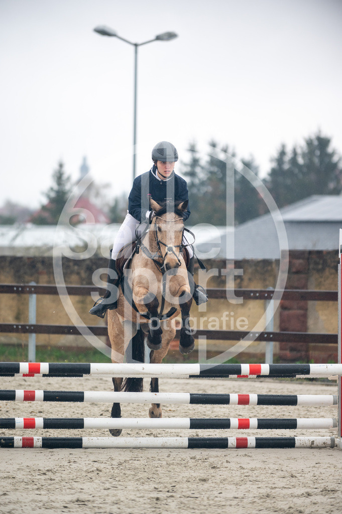 DSC_8949 | sattelsport - Realisiert mit Pictrs.com