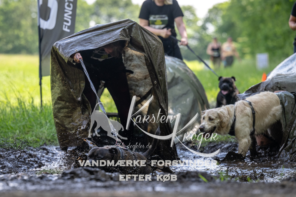 1155_ZZ90255 | kk-dogfotos