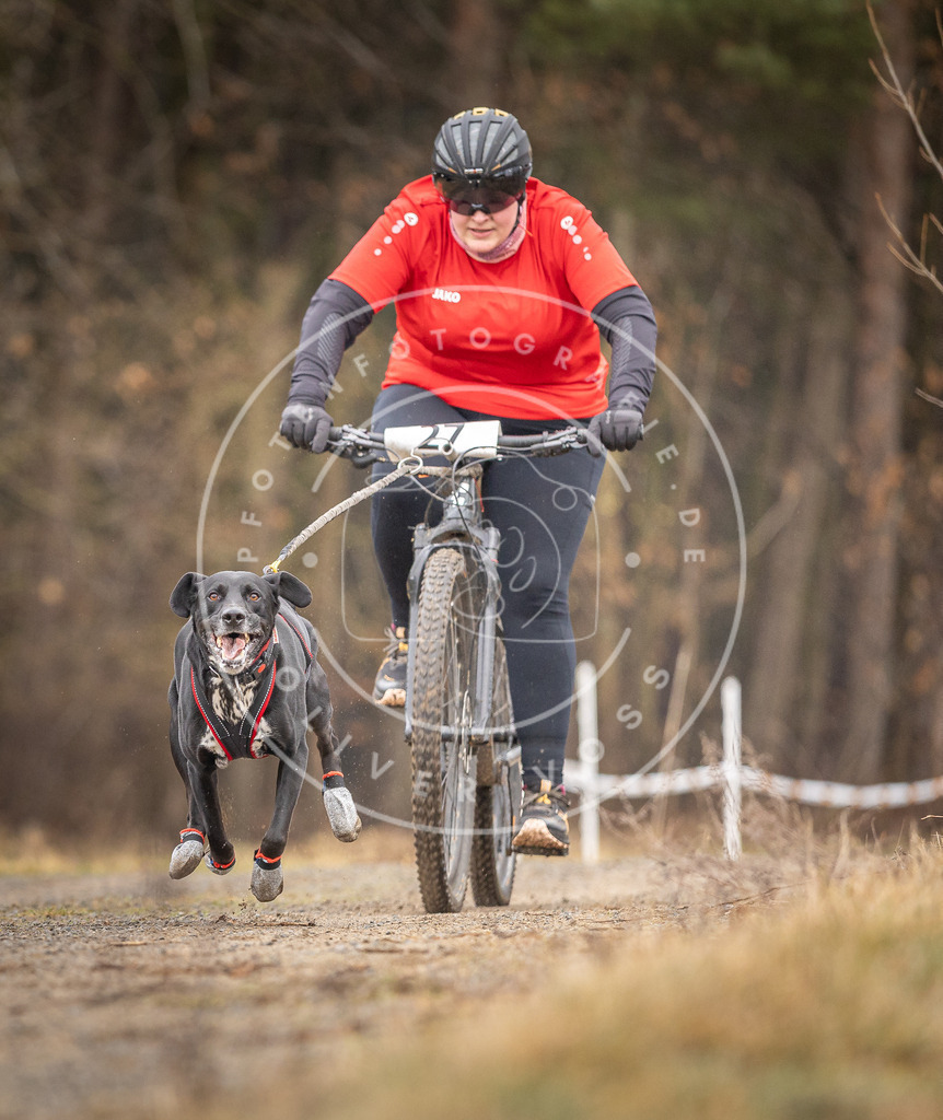 DV3A3332 | Hundefotografie, Tierfotograf, Pfotenfotografie, Fotoshooting Hund, Hunde Portrait, Hundesport, Hundeportraits, Heideshooting, Hunde, Sportfotograf, Hundefotograf, Turnierhundsport, THS,  - Realisiert mit Pictrs.com