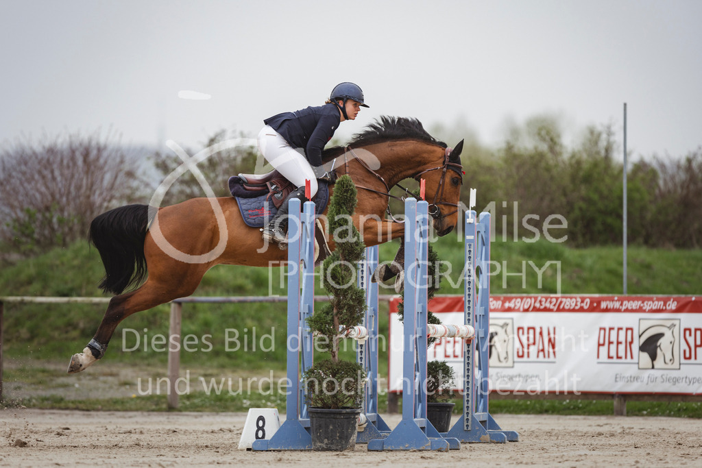 240330_Fruehlingsfest_Stil-A2-2-725 | Deine schönsten Turniermomente als professionelle Fotos! Entdecke hochwertige Pferdesport-Fotografie im Online-Shop. Jetzt Fotos finden & bestellen!