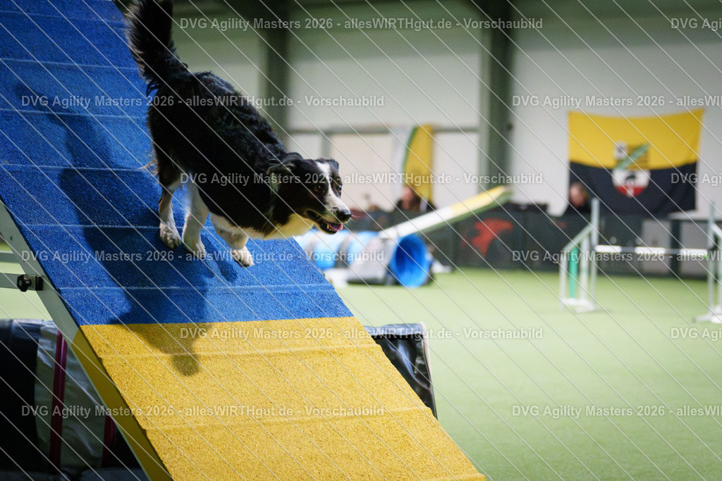 allesWIRTHgut_Tierfotografie-DVG_Agility_Masters_2026-16_50-7R508822 | Professionelle Tierfotografie in Mönchengladbach von Daniel Wirth (allesWIRTHgut). Liebevolle & natürliche Bilder von Hunden & Katzen für unvergessliche Erinnerungen.