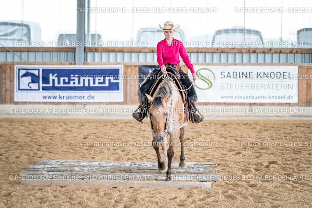 DSC07511 | Pferdegrafie