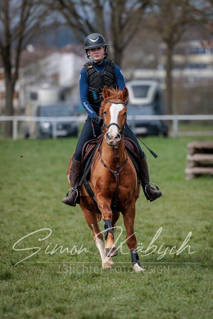 20260329-_3LI4713 | Tierfotografie Pferde, Hunde, Katzen, Haustiere.
Turnierfotografie Reitturniere, Reiten, Springreiten, Dressur in Hanau, dem Main-Kinzig-Kreis und dem Rhein-Main- Gebiet um Frankfurt