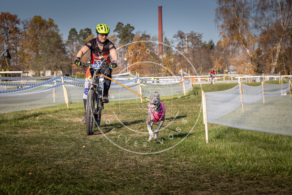 CaniXpix_0L8A6457 | Hundefotografie, Tierfotograf, Pfotenfotografie, Fotoshooting Hund, Hunde Portrait, Hundesport, Hundeportraits, Heideshooting, Hunde, Sportfotograf, Hundefotograf, Turnierhundsport, THS,  - Realisiert mit Pictrs.com
