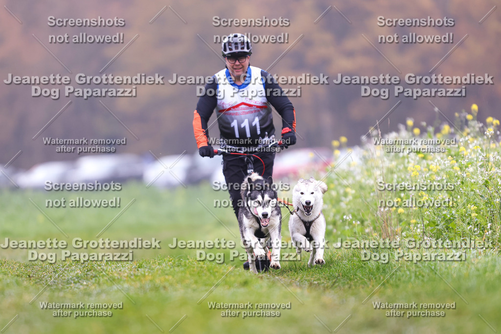 Dog Paparazzi - Visbeck 25 -124 | Dog Paparazzi Jeanette Grottendiek Fotografie & Videografie - Realisiert mit Pictrs.com