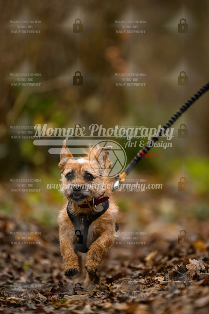 MompixPhotography_Eschau2024_CCC-130 | PayLife