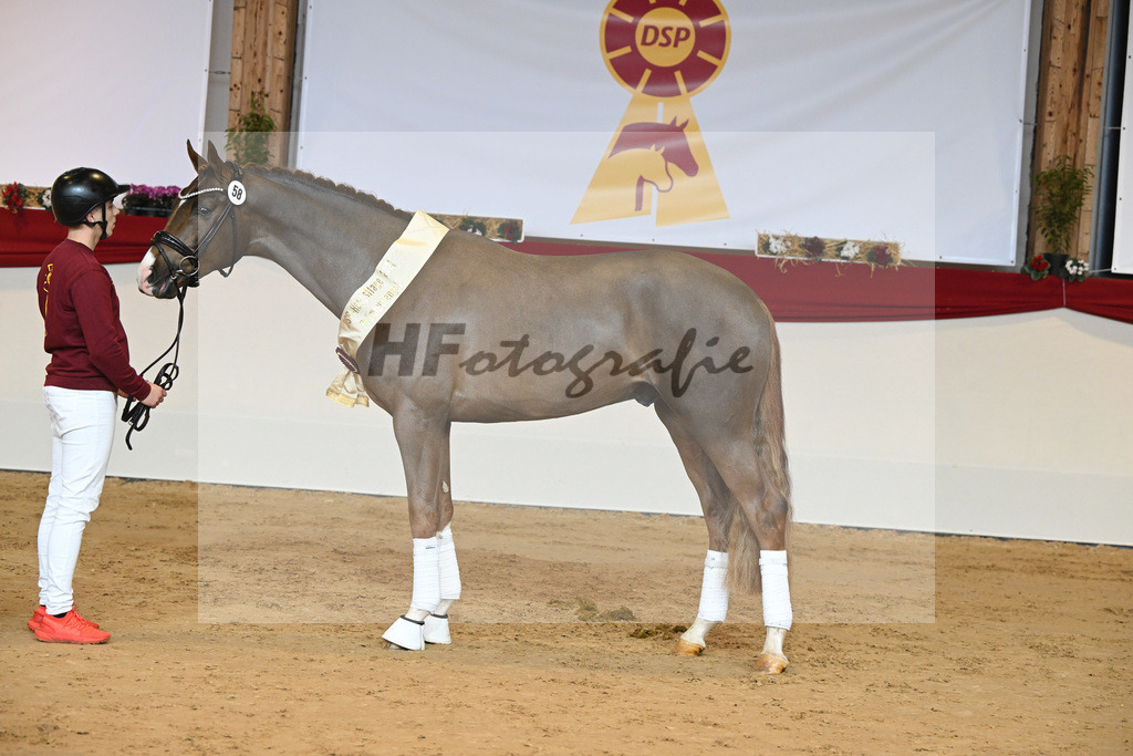 Kat-Nr. 58 Fuerst Samarant_Beckmann_1231921 | hf-fotografie - Realisiert mit Pictrs.com