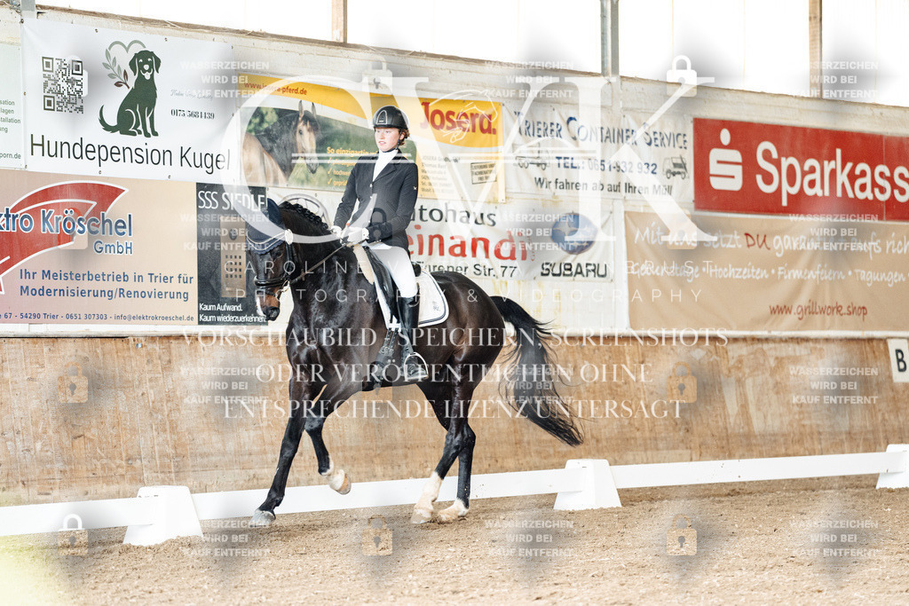 CK901199 | Turnierfotografie Pferdefotografie Trier Rheinland-Pfalz Pferdesport Reitsport Tierfotografie Sportfotografie Pferdevideo Pferdevideografie Equestrianvideography equestrianphotography  - Realisiert mit Pictrs.com