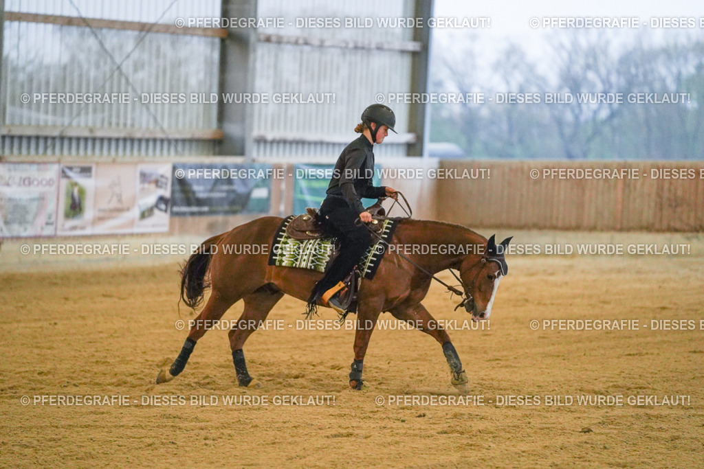 DSC09535 | Pferdegrafie