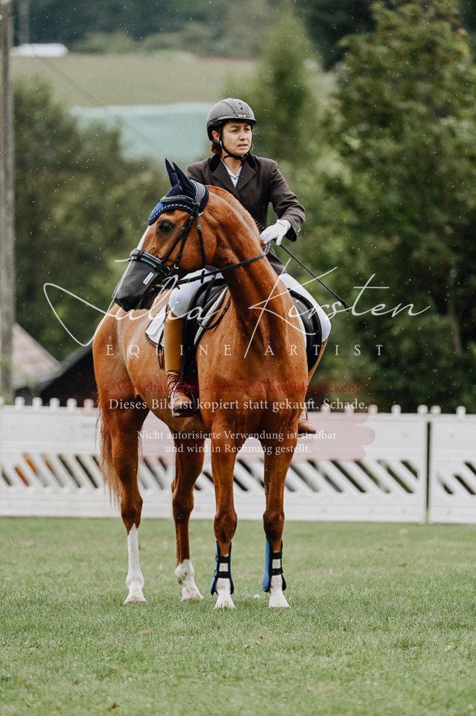 DSC_6965 | Pferde- und Turnierfotografie in Westsachsen. Pferdeportraits, Auftragszeichnungen und intuitive Kunst.