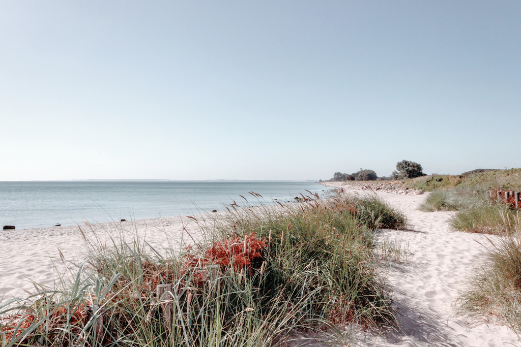 Wandbild: Frühling am Meer in dezenten Farben | Dieses Wandbild im Querformat zeigt einen traumhaften Sandstrand im Frühling. Im Vordergrund ist wunderschöner weißer Sand und grüner Strandhafer zu sehen. Der Himmel leuchtet in einem pastellartigen blau. Holen Sie sich dieses traumhafte Strandmotiv auf Leinwand, Aluminium-Platte oder Acrylglas. Ideal fürs Wohnzimmer, Schlafzimmer, Küche, den Arbeitsplatz oder die Ferienwohnung.   - Realisiert mit Pictrs.com