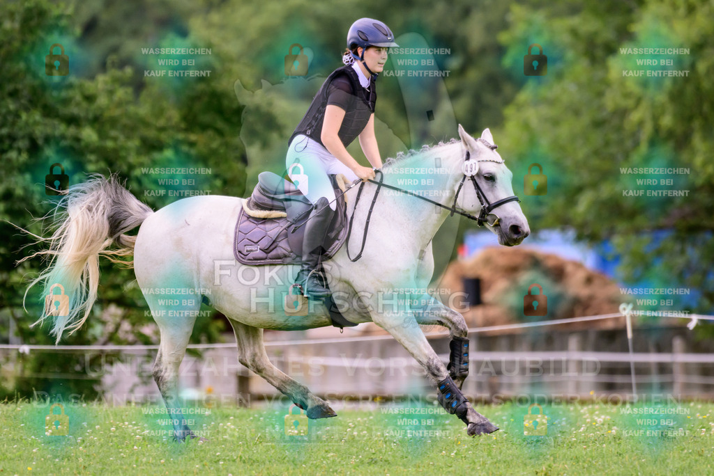 18072026-Schwaiganger-Prfg08-0229 | Fokus Hufschlag Fotografie - Realisiert mit Pictrs.com