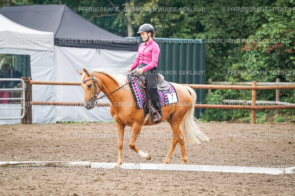 DSC03814 | Pferdegrafie