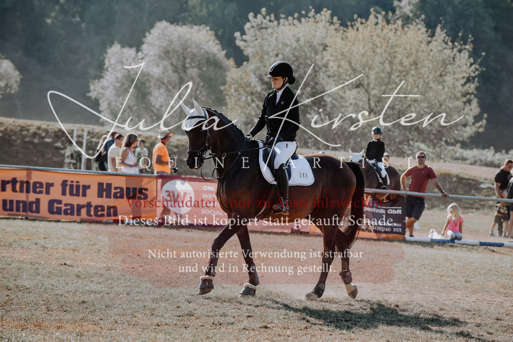 DSC_5626 | Pferde- und Turnierfotografie in Westsachsen. Pferdeportraits, Auftragszeichnungen und intuitive Kunst.