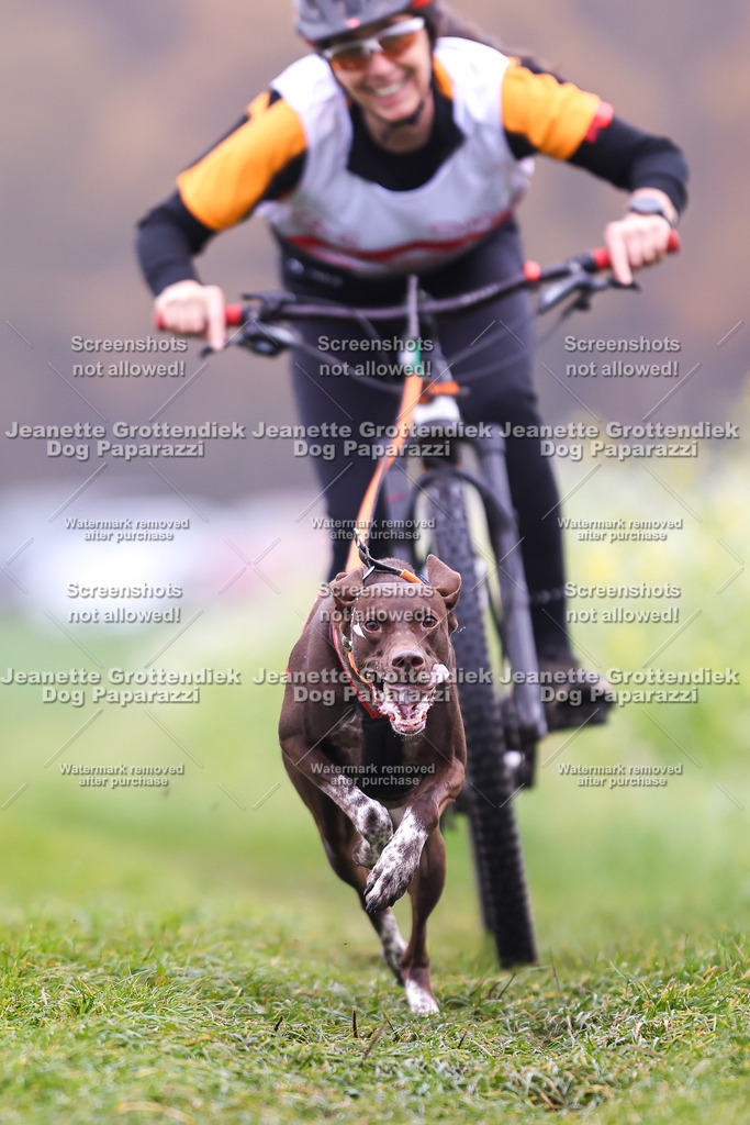 Dog Paparazzi - Visbeck 25 -140 | Dog Paparazzi Jeanette Grottendiek Fotografie & Videografie - Realisiert mit Pictrs.com