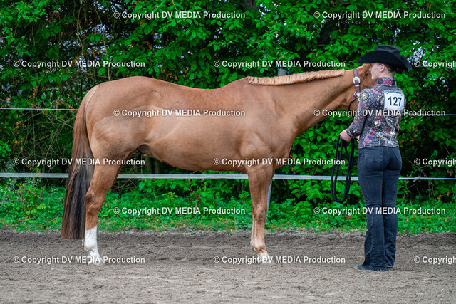 BA300188 | dv-media-shop - Realized with Pictrs.com