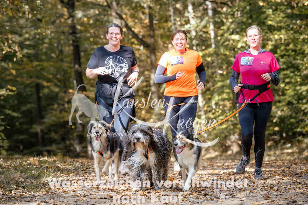 1247_ZZ96248 | kk-dogfotos