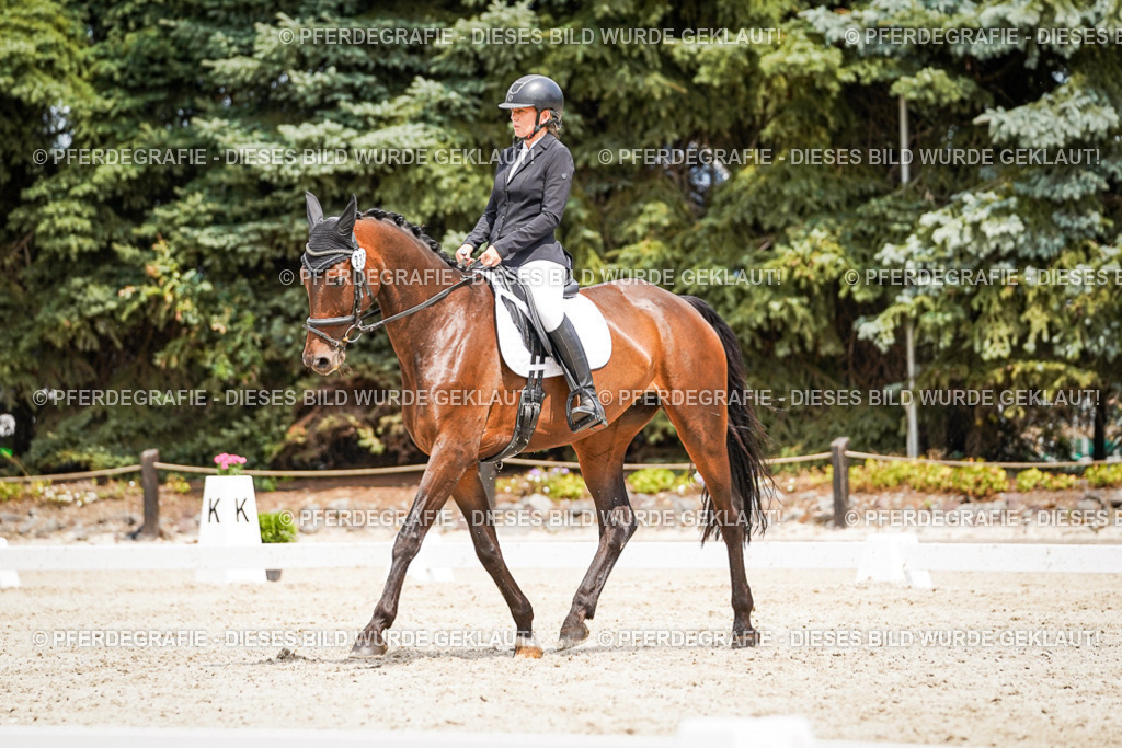 DSC03723 | Pferdegrafie