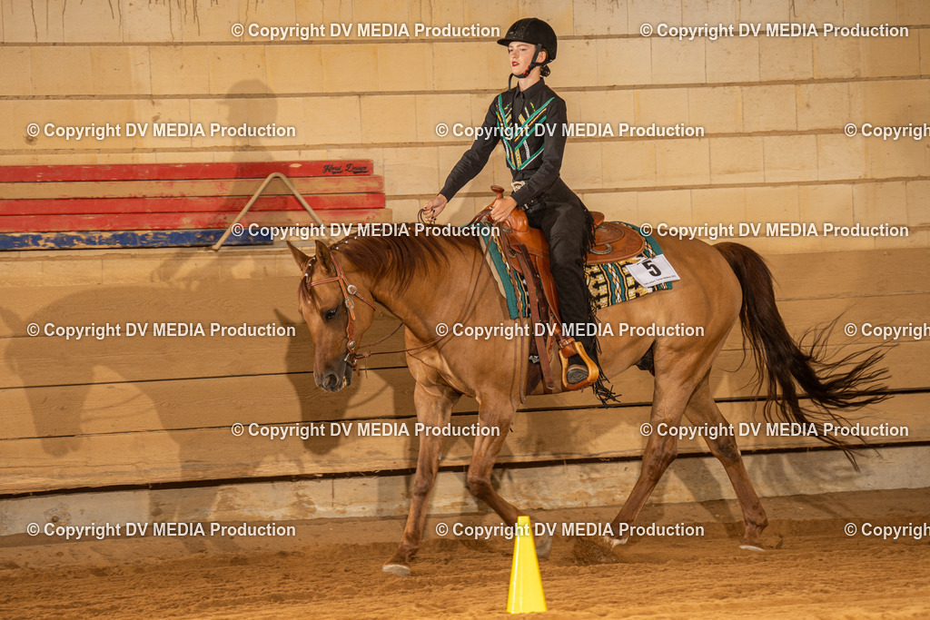 NID03534 | dv-media-shop - Realisiert mit Pictrs.com