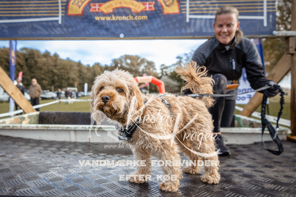 1408_ZZ93579-2 | kk-dogfotos