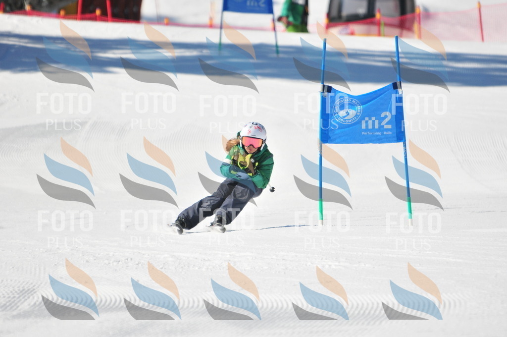 C3051 | holidayphoto