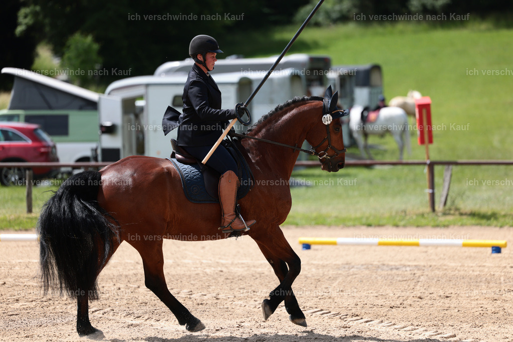 KlasseA_Stoibphotography_C2_L5447.JPG | working equitationturnier fotograf videograf stoibphotography marixx film working equitation deutschland reitsport turnierfotografie eventfotografie equestrian events