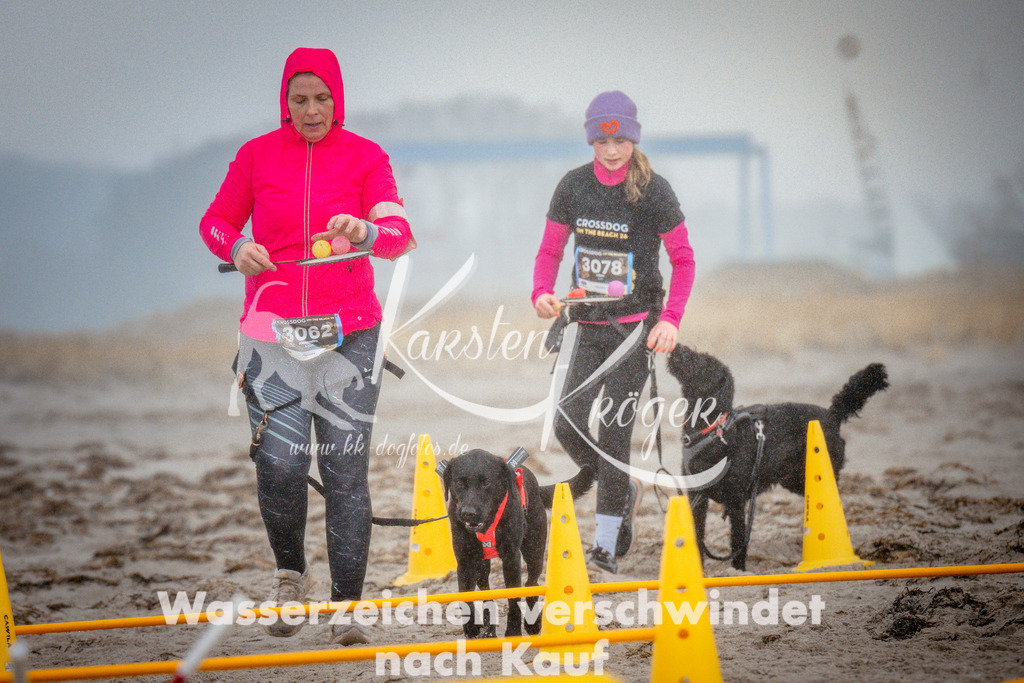 1108_ZZ96839 | kk-dogfotos