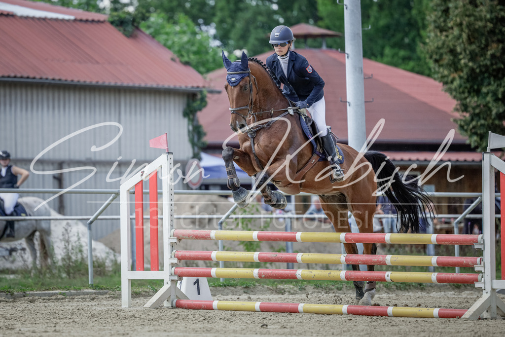 20250906-_3LI6225 | Tierfotografie Pferde, Hunde, Katzen, Haustiere.
Turnierfotografie Reitturniere, Reiten, Springreiten, Dressur in Hanau, dem Main-Kinzig-Kreis und dem Rhein-Main- Gebiet um Frankfurt