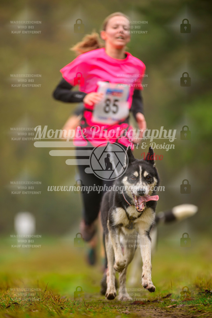 MompixPhotography_Bischwiller2025_Canicross-117 | mompixphotography