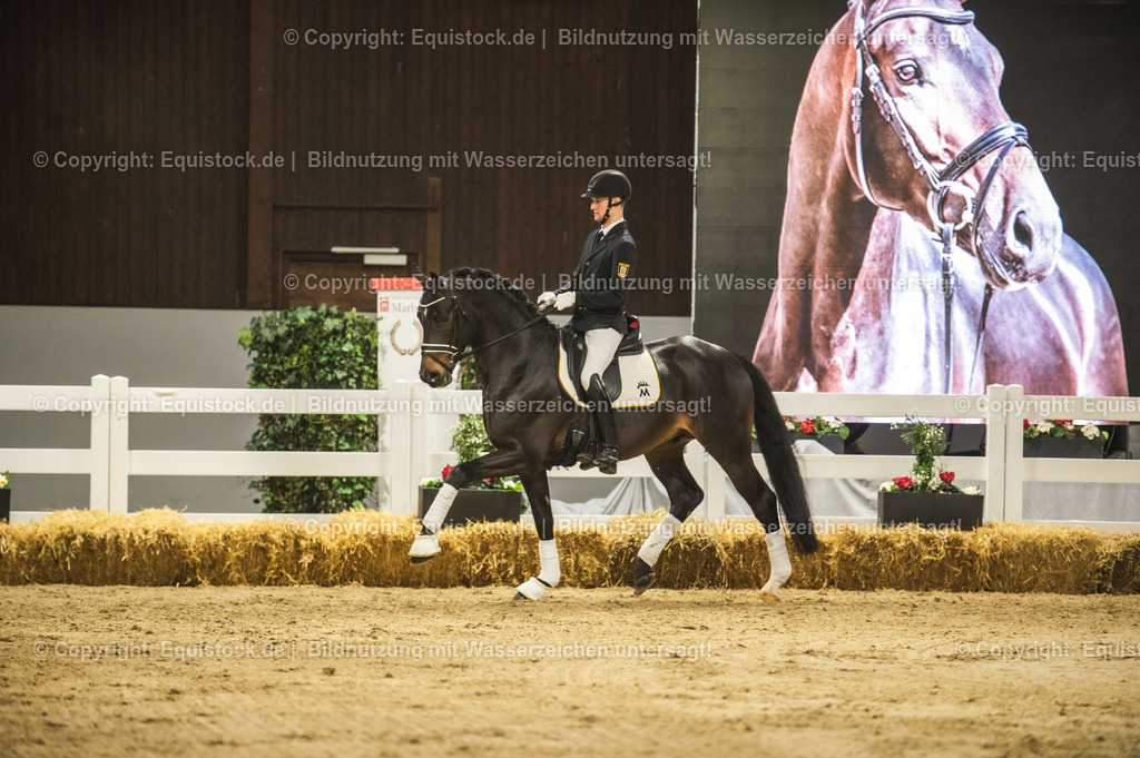 20240302_Hengstvorstellung_Marbach_TOMsPiC_0381 | equistock