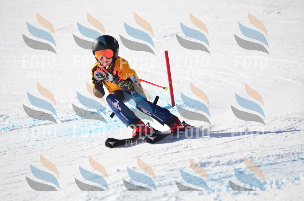 C6468 | holidayphoto