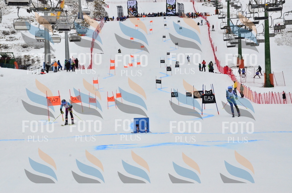 _ELE3623 | holidayphoto