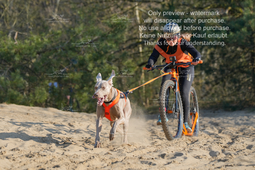 So_Scooter-277 | stephaniefillaphotographie - Realisiert mit Pictrs.com