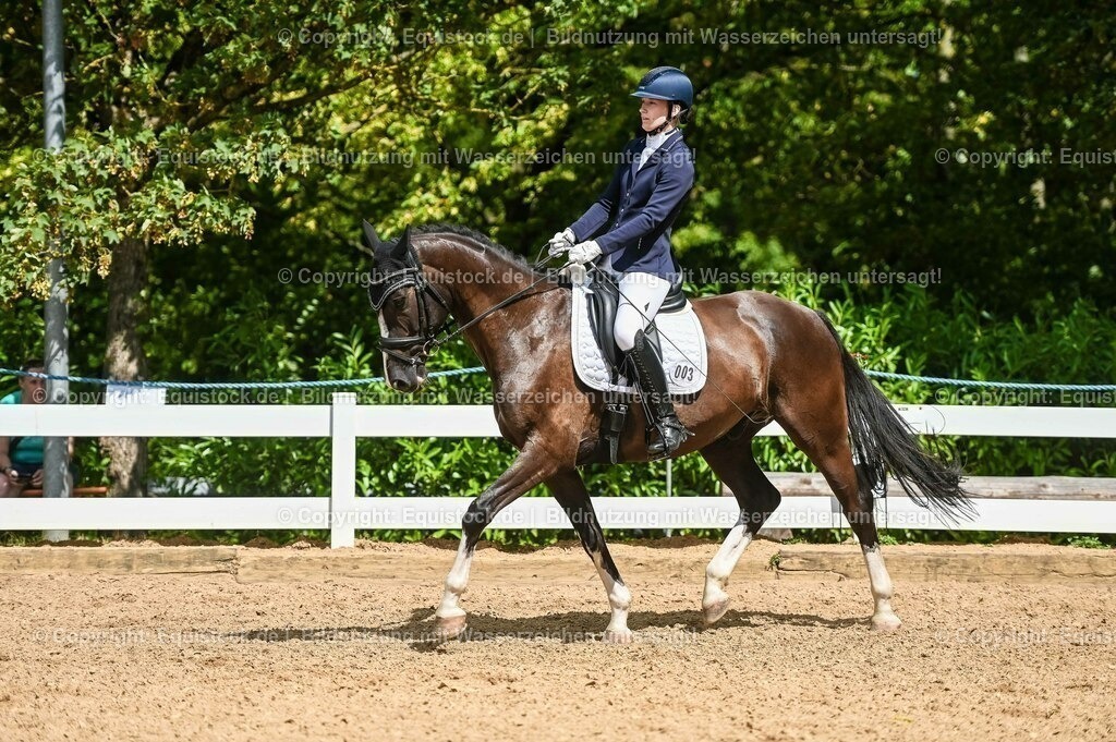 20230715_02_Dressurreiterprüfung Kl.L_0281 | equistock