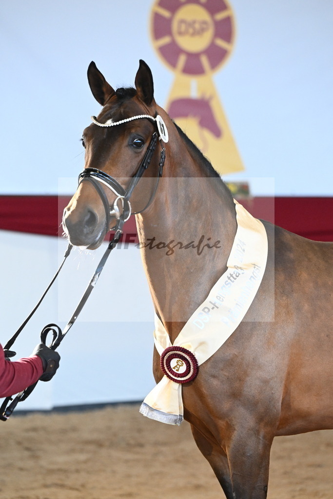 Kat.-Nr. 81 v. Vivino_Freisel_2242938 | hf-fotografie - Realisiert mit Pictrs.com