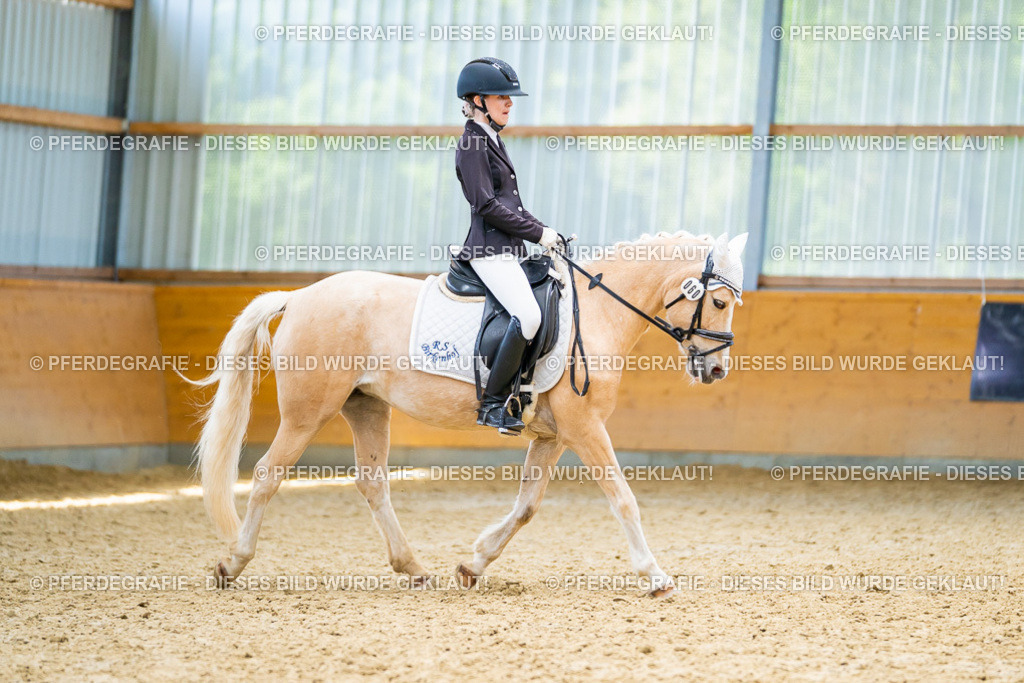 DSC09620 | Pferdegrafie