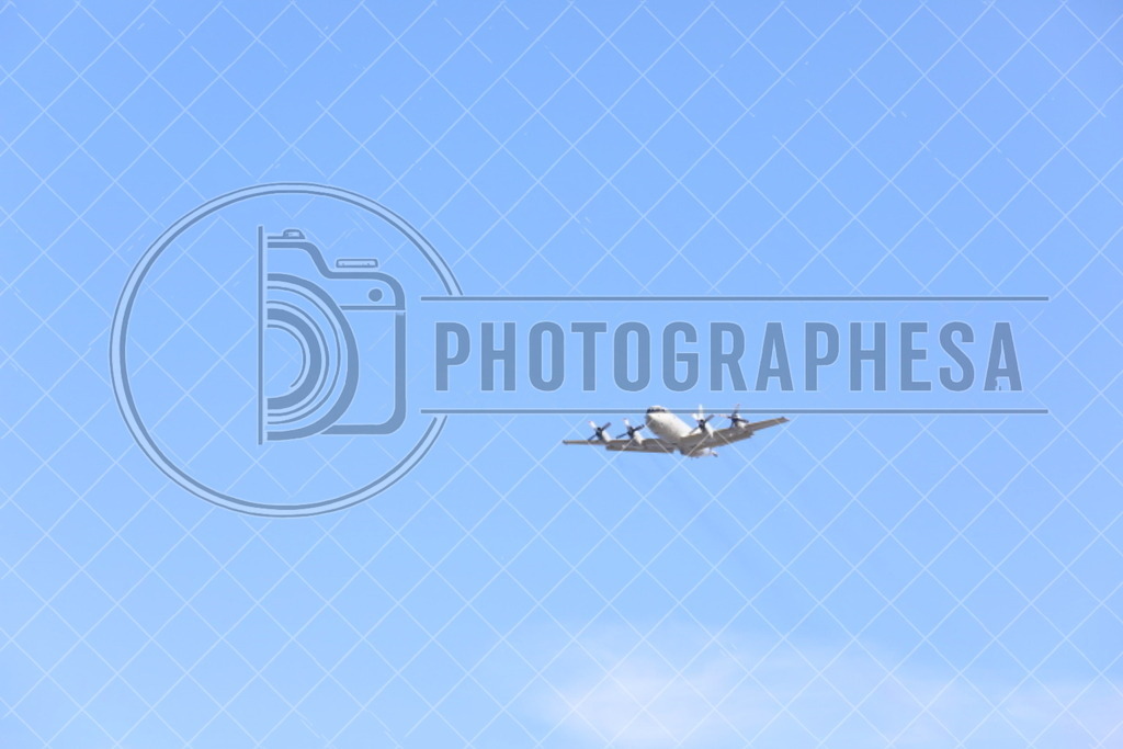 IMG_8788 | photographesa-joergens - Realisiert mit Pictrs.com