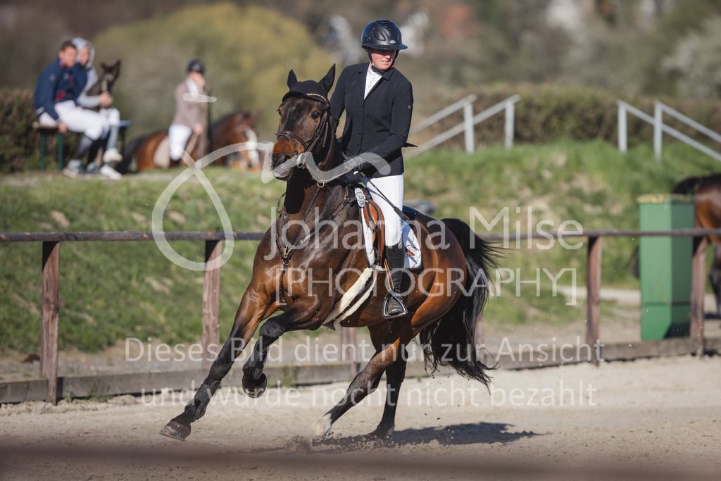 220416_5_M-Stil-590 | Frühlingsfest der Pferde
Herford
16.April 2022
Stilspringprüfung Kl.M* geschlossen